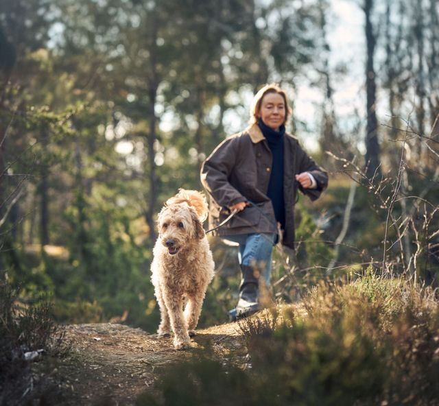 Hund og dame på tur i skogen