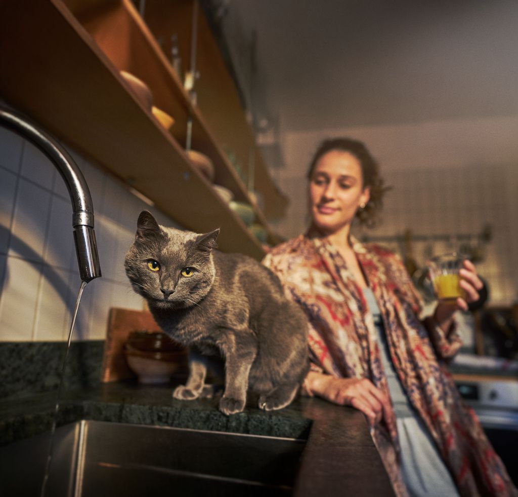 Katt og dame ved en vask på et kjøkken