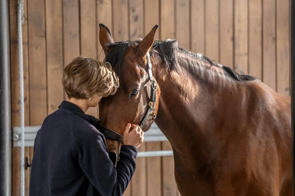 Hest og gutt på stallgangen