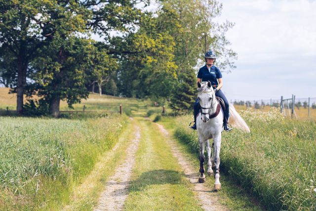 Hest og rytter som rir ute i naturen