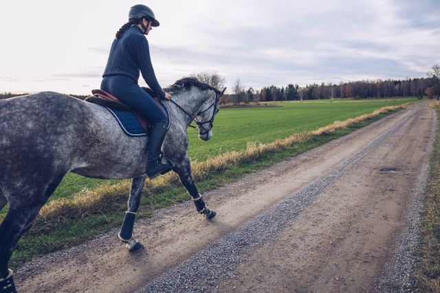 Hest og rytter på tur