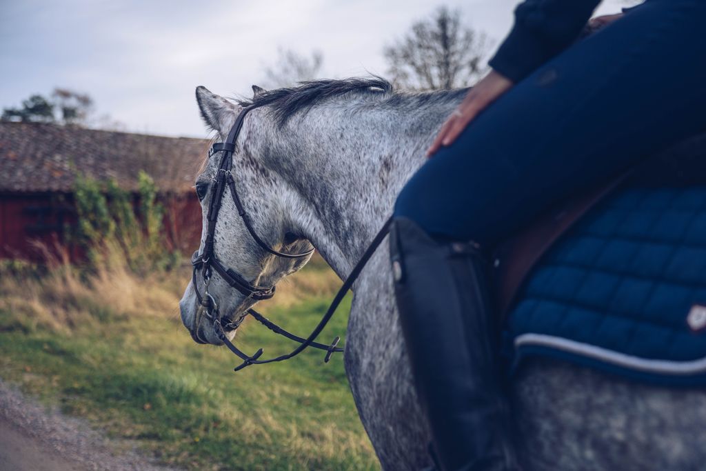 Hest og rytter som er ute på tur