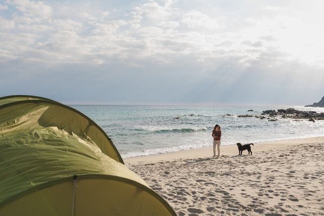 Hund og person på strand med telt