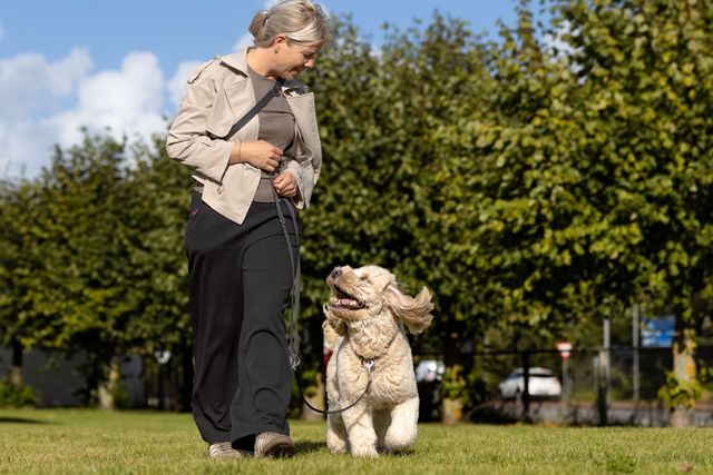 Dame og hund som går tur
