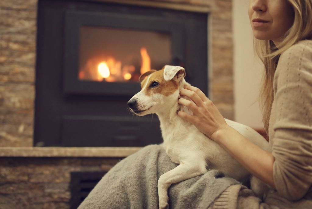Hund som ligger på fanget ved en peis