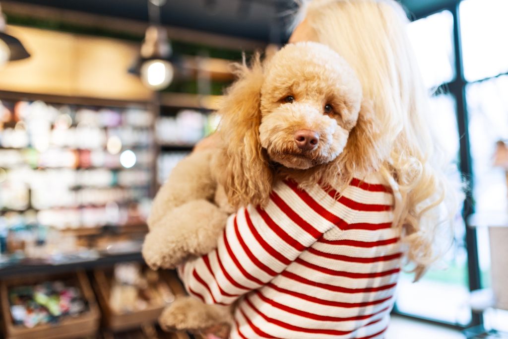 Dame som holder hund