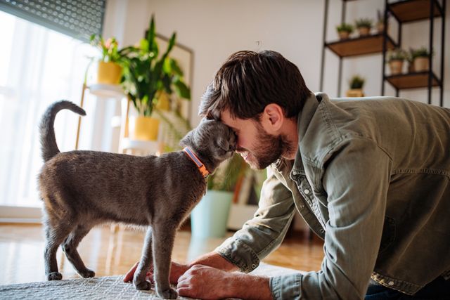 Katt og mann som koser