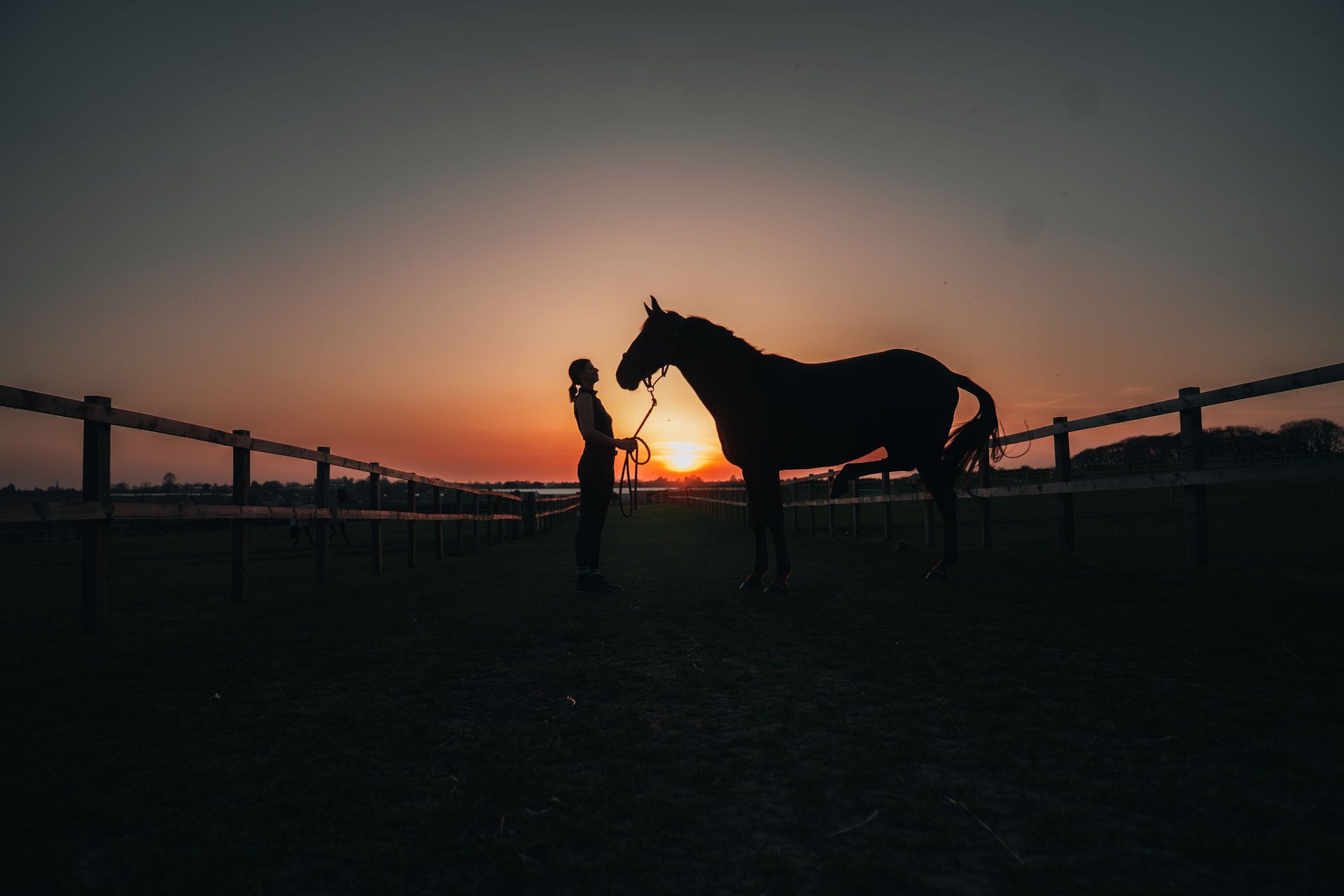 Hest og person i solnedgang