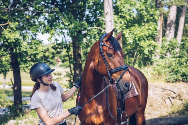 Hest og person ute