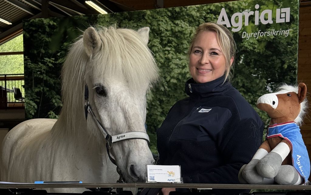 Forsikringsagent og hest