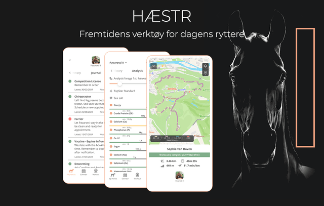 Skjermdump fra appen HÆSTR.