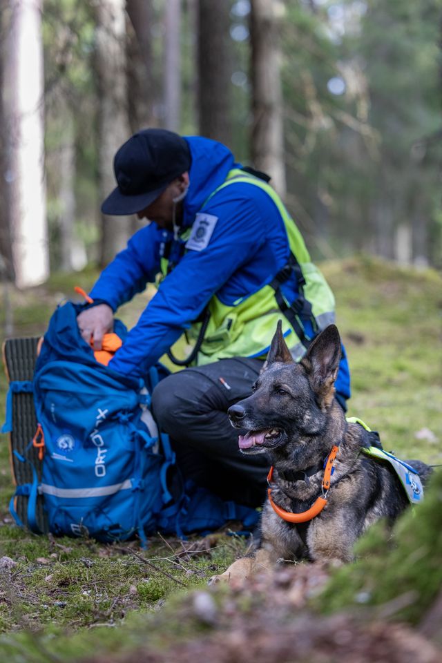Redningshund og fører