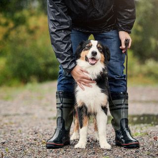 Hund og eier ute i regnet
