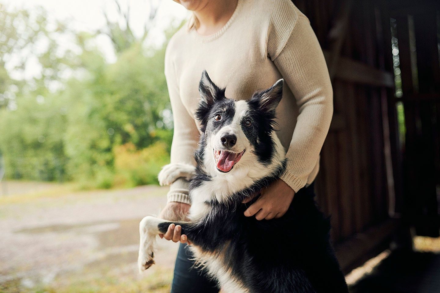 Kvinne holder sin border collie