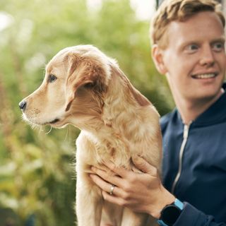 Golden retriever valp og mann sitter ute