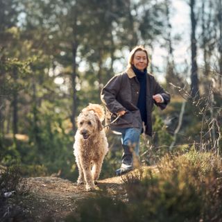 Hund og eier ute på tur i skogen