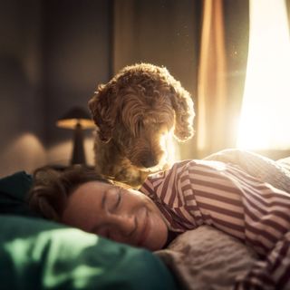 Hund titter ned på eieren sin som sover.