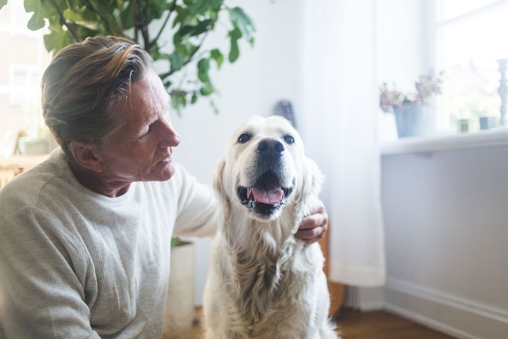 Mann og hund som sitter ved et vindu