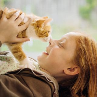 Agria Assurance pour animaux ble lansert i Frankrike i 2018
