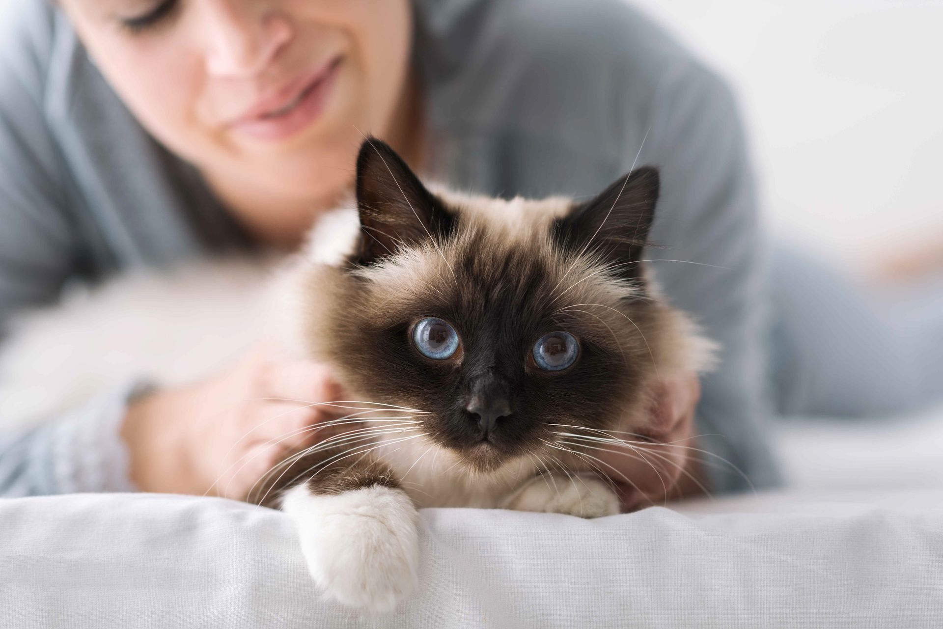 Dame og katt som koser
