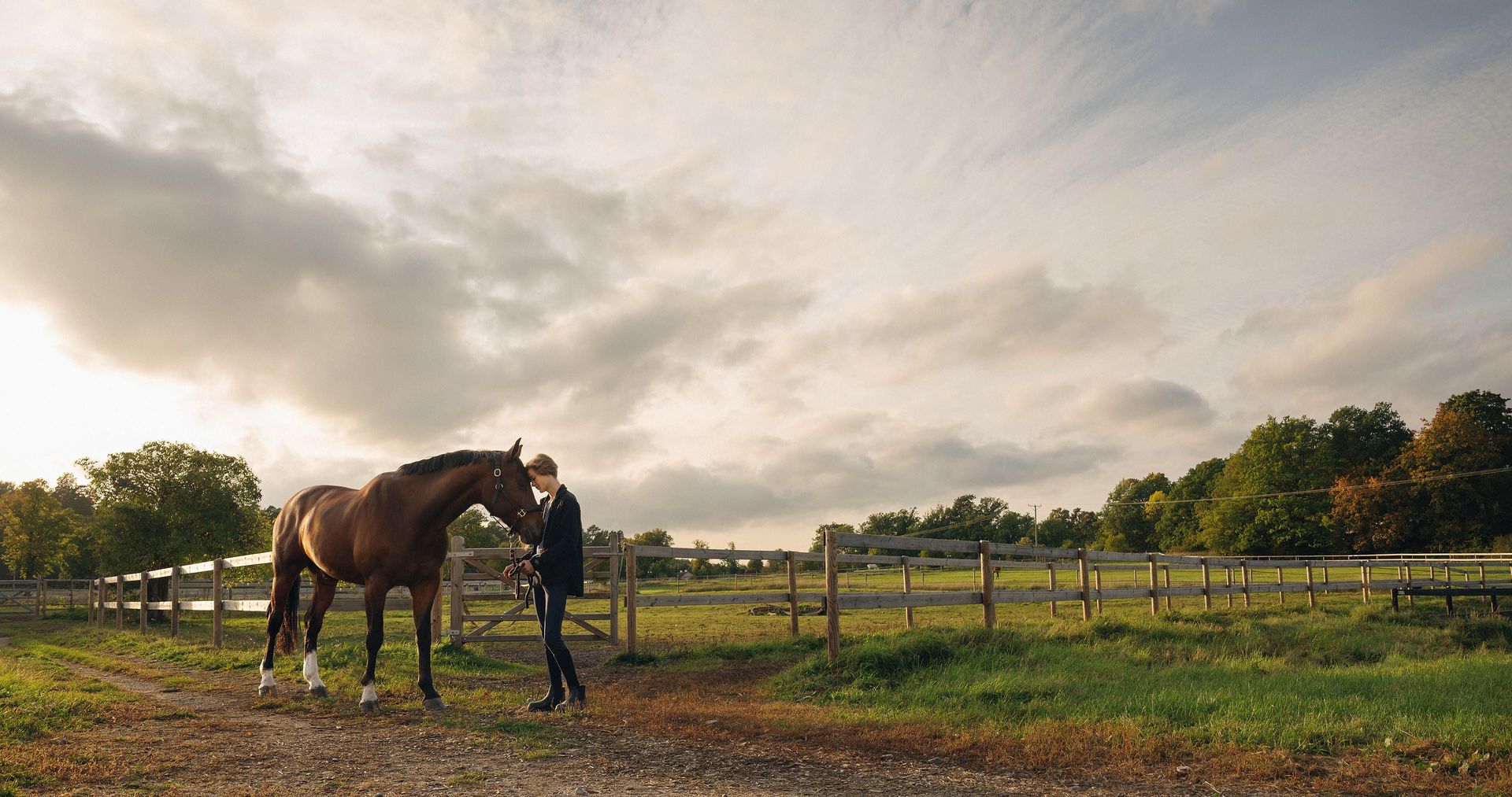 Hest og eier lener hodene mot hverandre ute i paddocken.