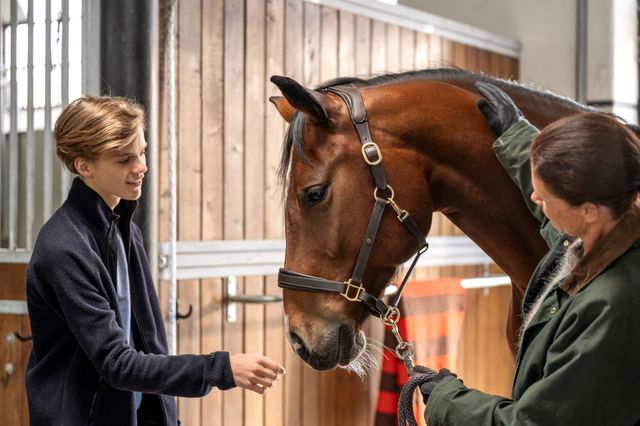 Gutt og dame klapper en brun hest