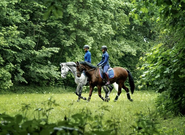 To hester og ryttere rir i naturen