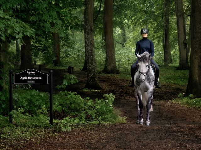 Hest og rytter på tur på en Agria Narurbane