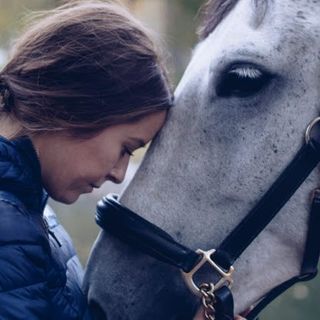Hest og eier koser