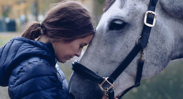 Hest og menneske gir klem