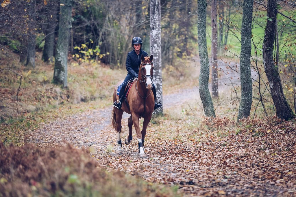 Hest og rytter ute i skogen på tur