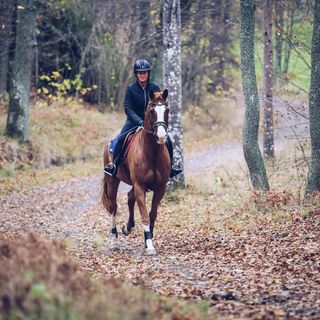 Hest og rytter på ridetur i høstvær