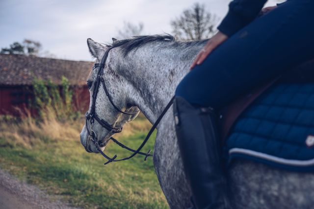 Hest og rytter rir på bilvei