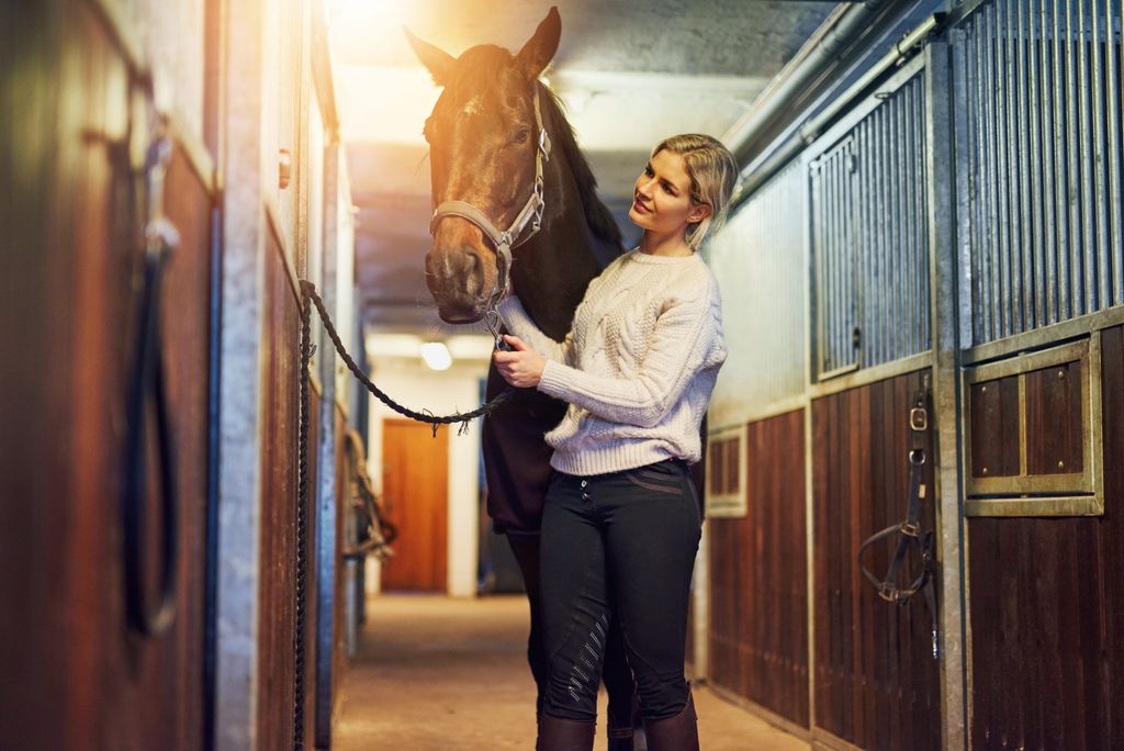 Hest og dame i stall