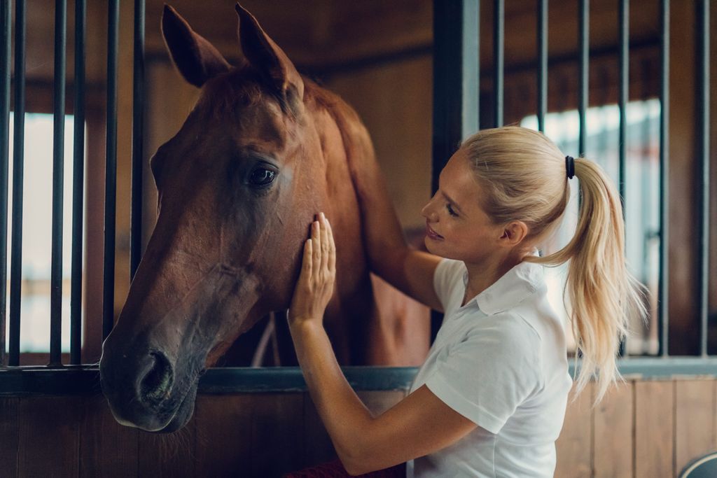 Kvinne klapper hest på stallen