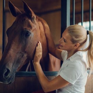 Agria Pet Insurance (IE) ble lansert i Irland i 2022