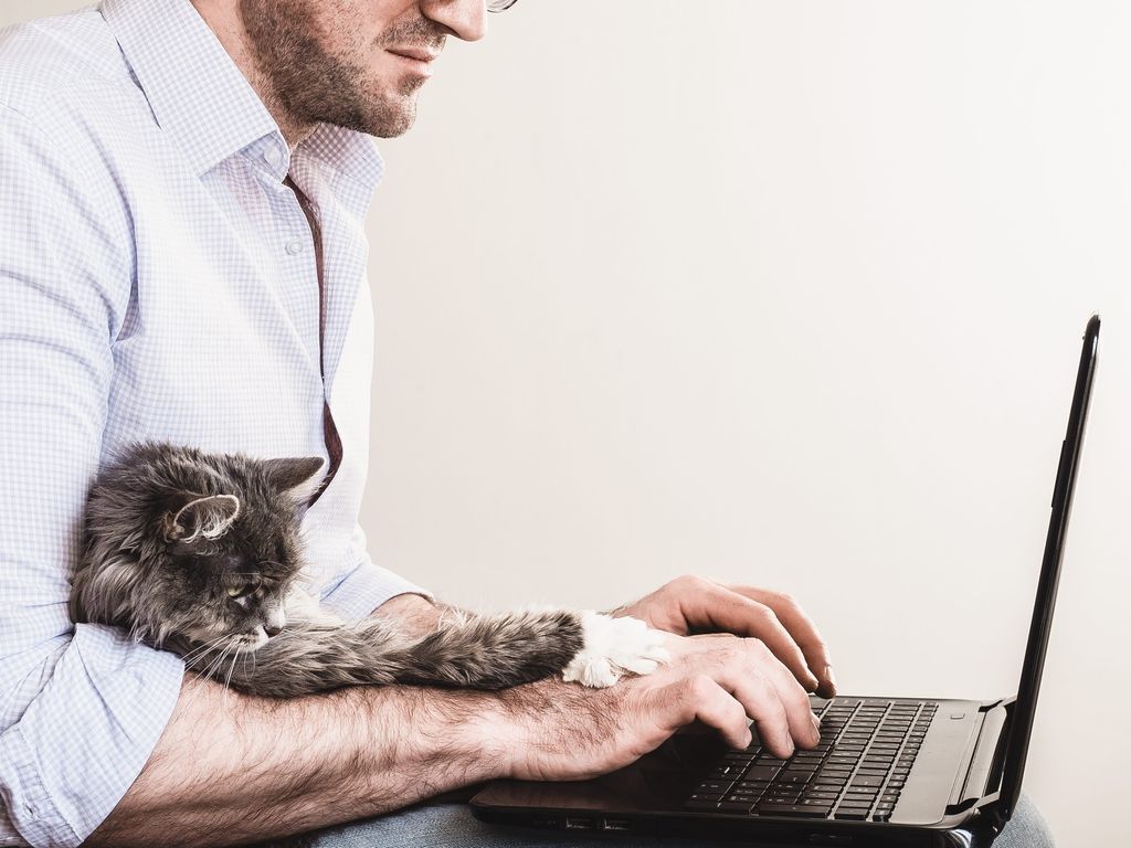 Man skriver på PC-en med katten i fanget