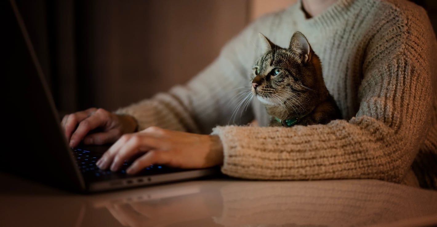 Katt og eier sitter foran en PC