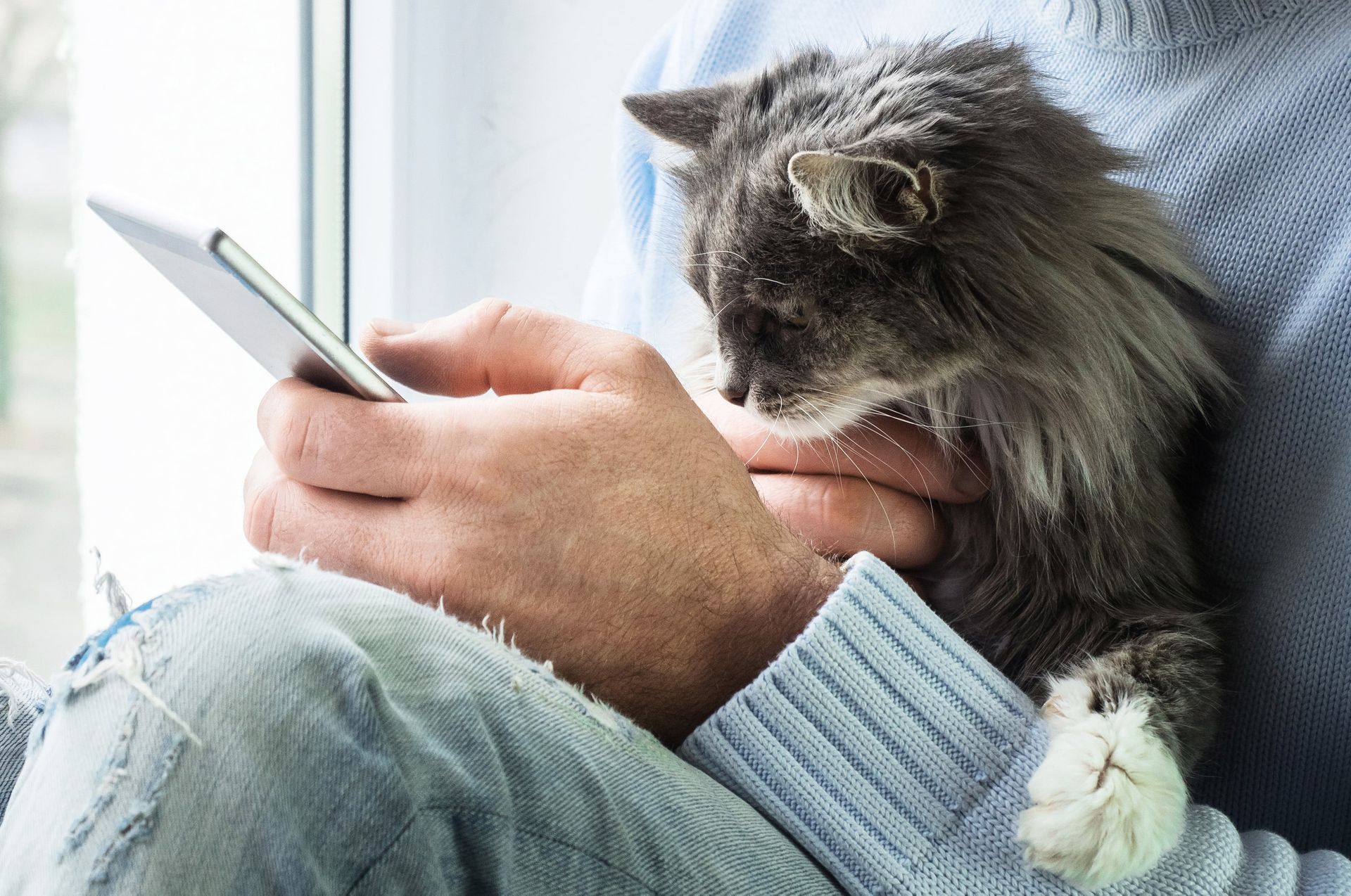 Mann ser på telefonen med en katt i fanget