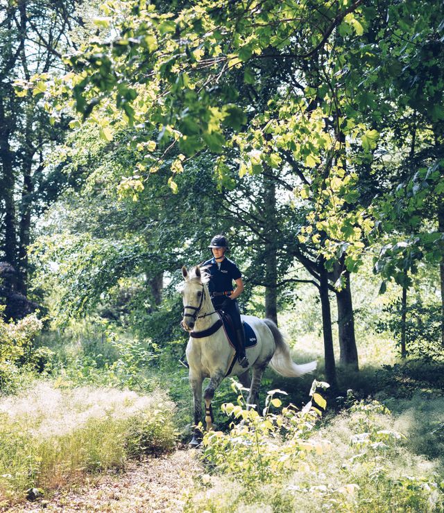 Hest og rytter rir ut i naturen.