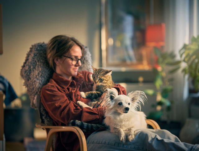 Dame med hund og katt