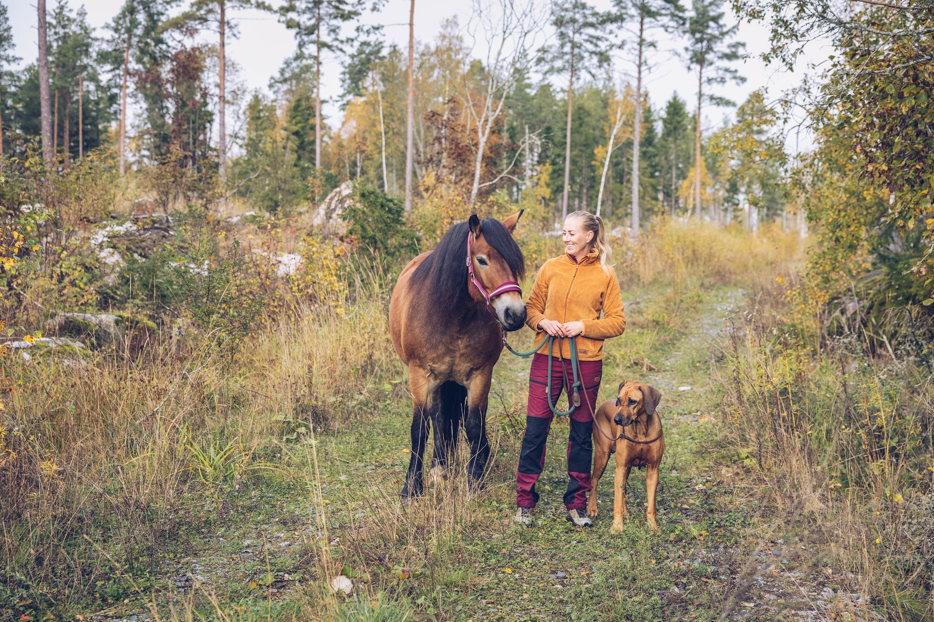 Dame med hest og hund