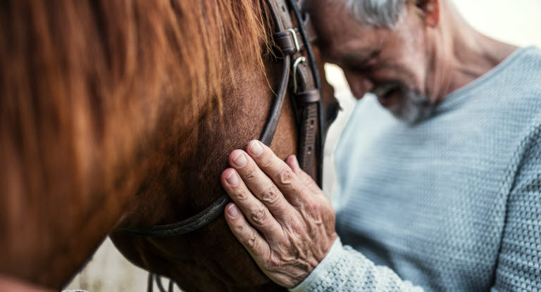 Mann som klemmer en hest