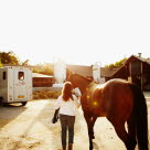 Hest på vei inn i en hestetransportbil