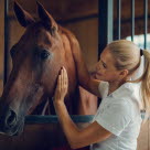Dame som klapper en hest i en stall