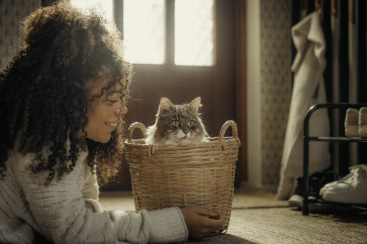 Agria katteparade 2026