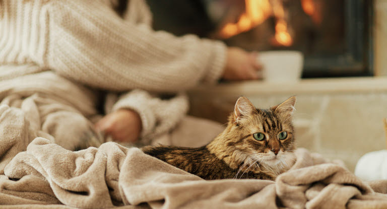 Katt som ligger på et pledd foran peis