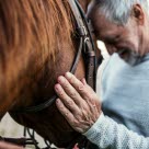 Mann som koser med hest