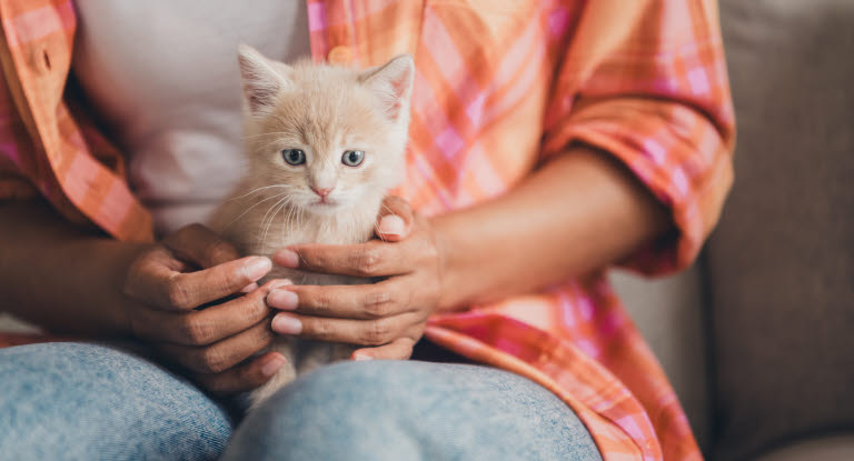 Kattunge som sitter på fanget