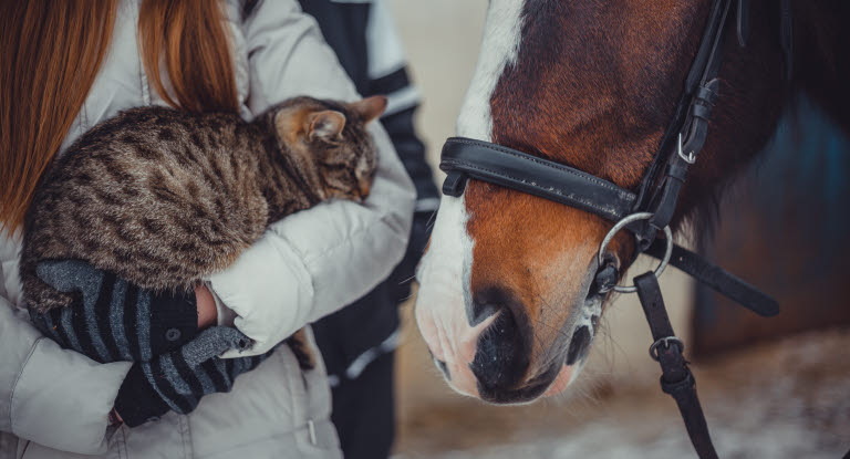 Dame som holder en katt ved siden av en hest